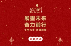 展望未来 奋力前行丨金正环保2021年新春贺词