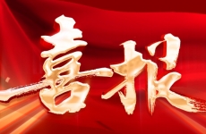 荣耀加冕！烟台金正环保连获多项大奖，行业影响力和技术实力再获认可！