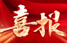 喜报｜烟台金正环保荣获2024年度环境技术进步奖
