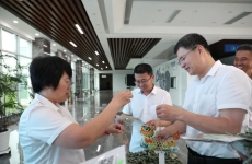 一绳一艾寄安康，奋斗逐浪正当时——金正环保的端午时刻